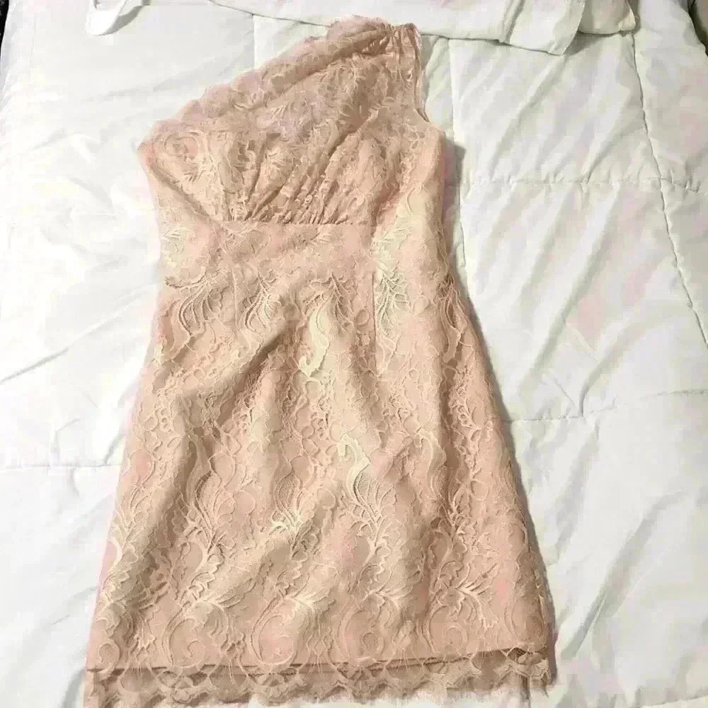 Jim Hjelm Spring Wedding Guest Blush Dress